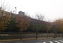 熊本大学立体駐車場